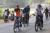Gowes